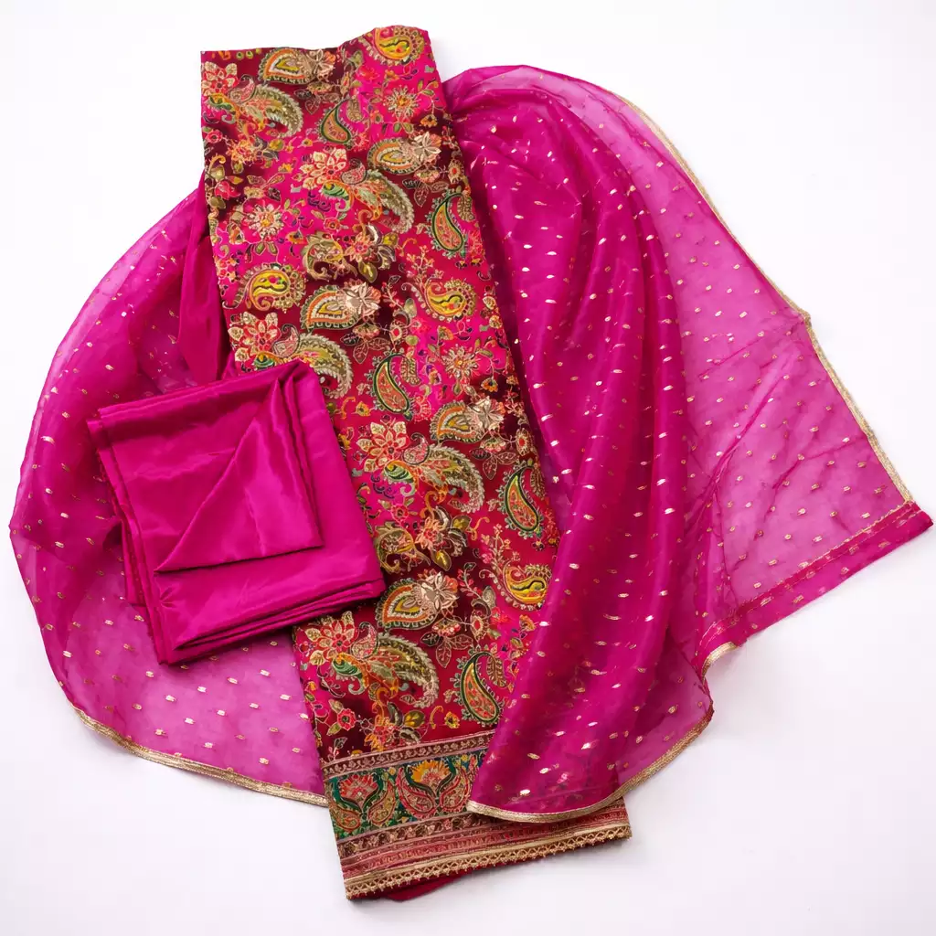 Magenta Embroidered Punjabi Suit with Floral & Paisley Design
